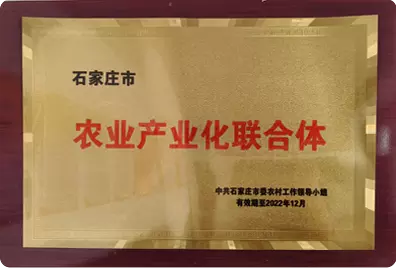 农业产业化联合体