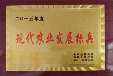 现代农业发展标兵